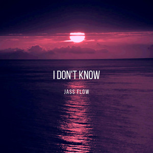 I DON'T KNOW by JASS FLOW