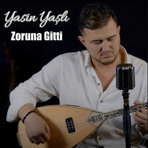 Yasin Yaşlı - Zoruna Gitti