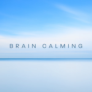 Brain Calming: Guitar Relaxation Sounds for Brain Overstimulation album