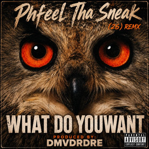 WHAT DO YOU WANT by Phfeel Tha Sneak