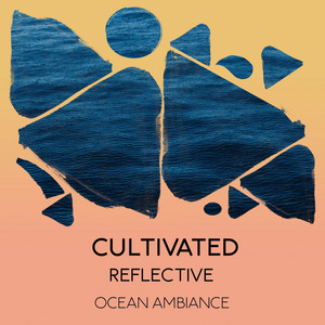 zZz Cultivated Reflective Ocean Ambiance zZz album