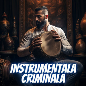 Dj Nelutu - Instrumentala Criminala