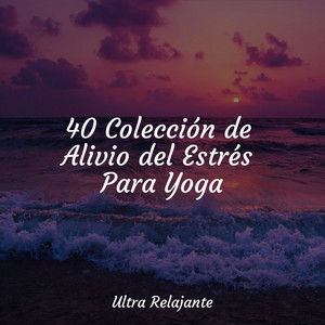 40 Colección de Alivio del Estrés Para Yoga