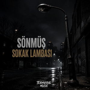 Sönmüş Sokak Lambası by TERMVIRALMUSIC