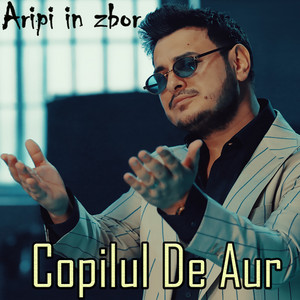 Copilul De Aur - Aripi in zbor