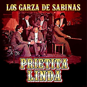 Anoche Soñé Contigo by Los Garza De Sabinas