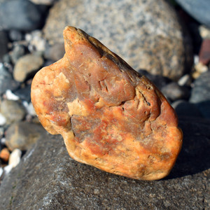 Imagination