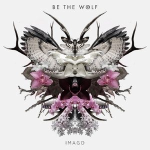 Imago