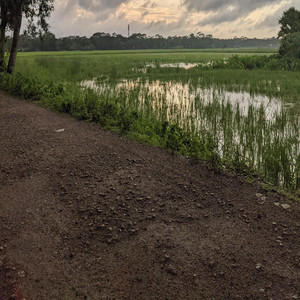 RJ Rakib Backstage - just feel your mind