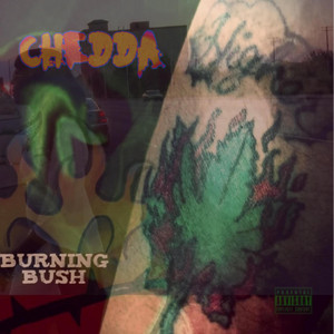 Burning Bush by Chedda