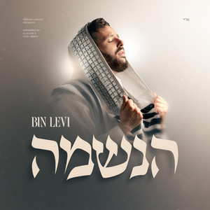 Haneshama by Bin Levi
