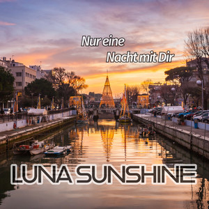 Nur eine Nacht mit Dir