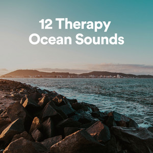 12 Therapy Ocean Sounds album
