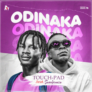 Touch-pad - Odinaka (feat. Seanbreeze)