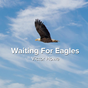 Waiting For Eagles by Victor Howe