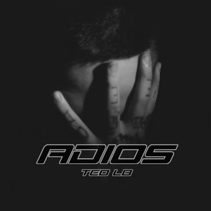 Portada de Adiós