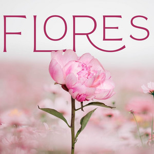 flores by mariandepo