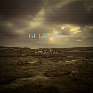 Cobalt Moor by Gulminya