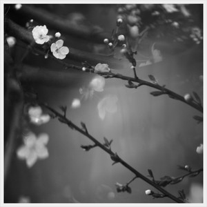 what it means to live - 260408 by kha