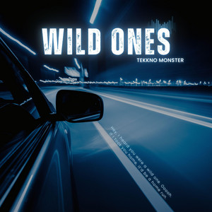 Wild Ones by TEKKNO MONSTER