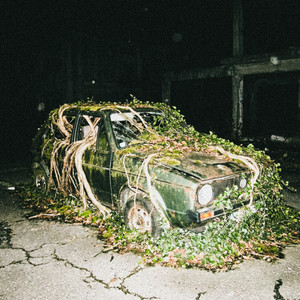 JUNGLE by Bresk