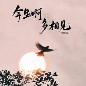 不是鱼 - 今生啊 多相见 (女版)