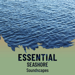 zZz Essential Seashore Soundscapes zZz album
