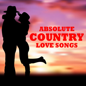 Allstar Country Band — cover art