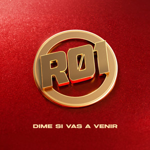 Dime si vas a venir by R01, Roi