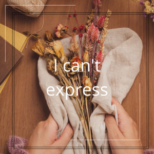 I can't express by Lizam Sahrulz