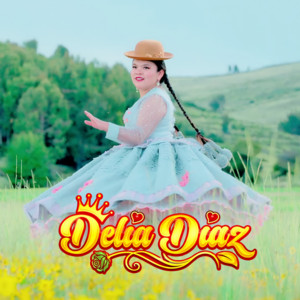 Delia Diaz - Buscame Llamame