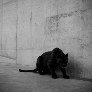 Bestial by Paage