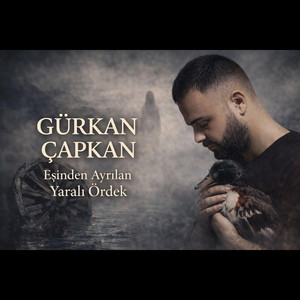 Eşinden Ayrılan Yaralı Ördek