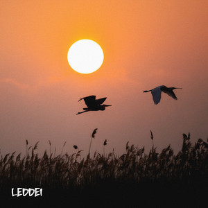 Dos Miradas by Leddei