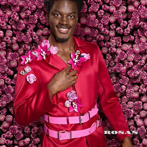 Rosas by ABCD