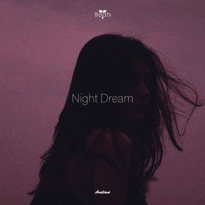 Night Dream
