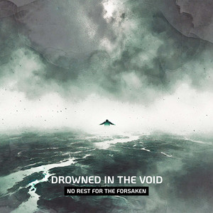 Drowned in the Void