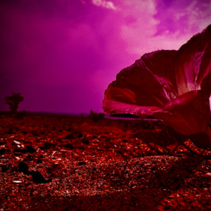 TERU - Modorenai Hibi