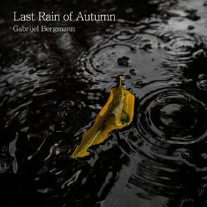 Quiet Storm Passing by Gabrijel Bergmann