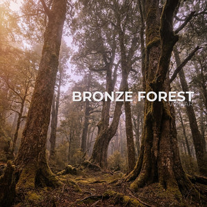 Bronze Forest by VØNAR