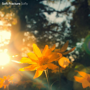 World by Soft Fracture