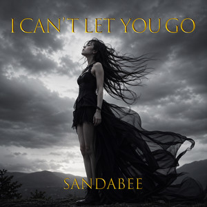 よさこい よっちょれ - Single by sandabee | Spotify