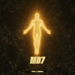 Md7 by 7iete, Zokken