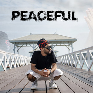 R Zee Vibe - Peaceful