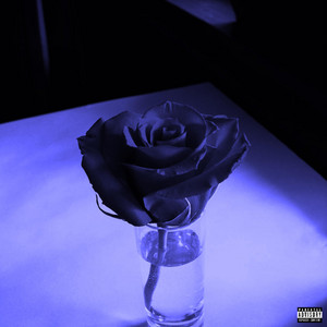 Portada de Delusional