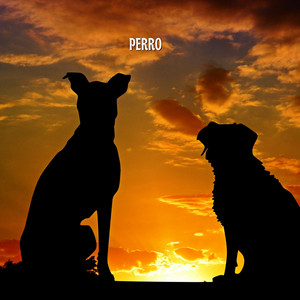 Perro by Sirena Linda
