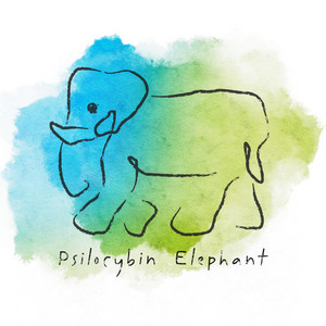 Psilocybin Elephant by Jesse Kloos