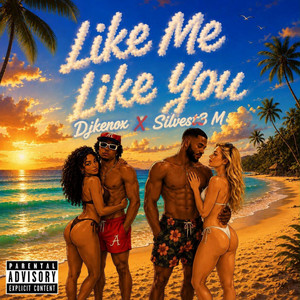 Like Me, Like You by djkenox, Silvest3 M