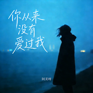 你从来没有爱过我 - 抒情女版 by 阿美呀