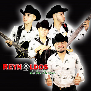 Los Reynaldos De La Sierra - 300 Locos (En Vivo)